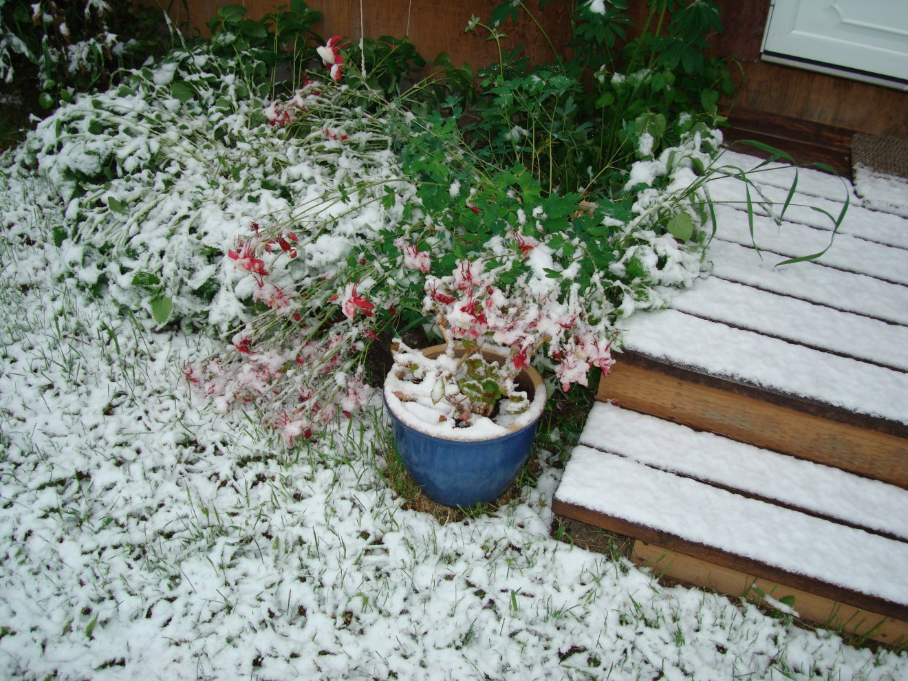 June 10, 2008 snow