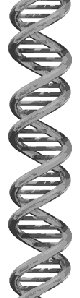 DNA