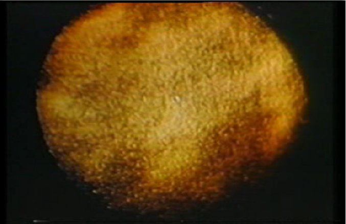 Sand on Plate
