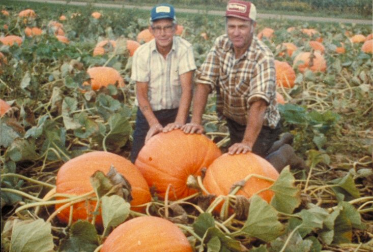 Pumpkins